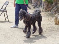 DSC 5846