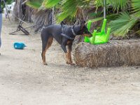 DSC 5864