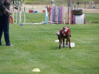 DSC 6029