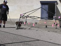 00014-3