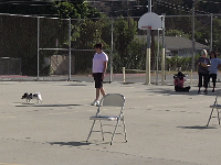 Go the Distance, Novice