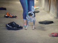 DSC 7294