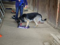 DSC 7399