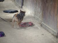 DSC 7391