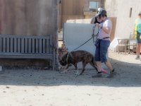 DSC 6657 D600 DxO