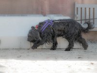 DSC 6670 D600 DxO