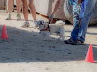 DSC 6676 D600 DxO