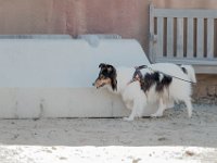 DSC 6689 D600 DxO