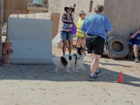 DSC 6696 D600 DxO