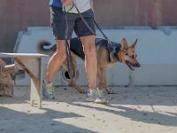 DSC 6701 D600 DxO