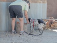 DSC 6734 D600 DxO