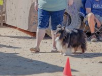 DSC 6746 D600 DxO