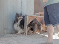 DSC 6751 D600 DxO