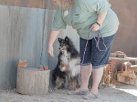 DSC 6756 D600 DxO