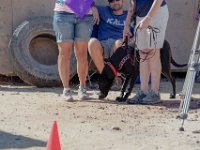 DSC 6767 D600 DxO