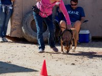 DSC 6787 D600 DxO