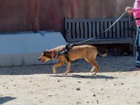 DSC 6790 D600 DxO