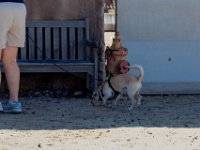 DSC 6801 D600 DxO