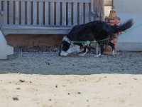 DSC 6825 D600 DxO