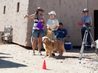 DSC 6839 D600 DxO