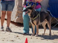 DSC 6917 D600 DxO