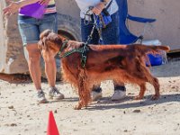 DSC 6970 D600 DxO