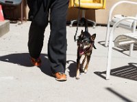 DSC 7028 D600 DxO
