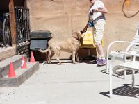 DSC 7110 DxO