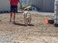 DSC 7112 D600 DxO