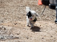 DSC 7172 D600 DxO