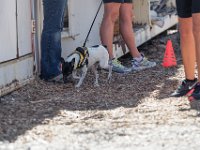 DSC 7186 D600 DxO
