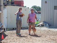 DSC 7231 D600 DxO