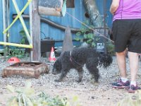 DSC 7324 D600 DxO