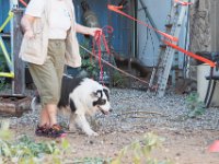 DSC 7331 D600 DxO