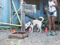 DSC 7369 D600 DxO