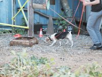 DSC 7379 D600 DxO
