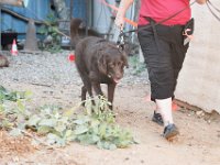 DSC 7424 D600 DxO