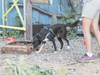 DSC 7444 D600 DxO