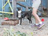 DSC 7445 D600 DxO