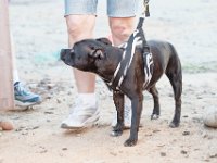 DSC 7446 D600 DxO