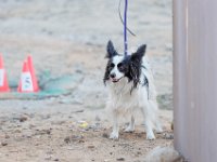 DSC 7464 D600 DxO