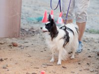 DSC 7465 D600 DxO