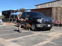 Afternoon Vehicles