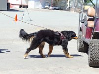 DSC 8119 DxO