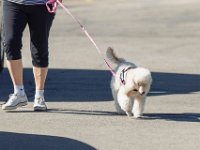 DSC 8758