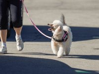 DSC 8759