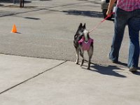 DSC 9020