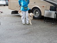 DSC 3519 DxO