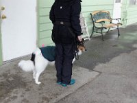 DSC 4024.D600 DxO