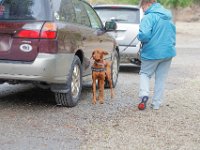 DSC 4159 DxO